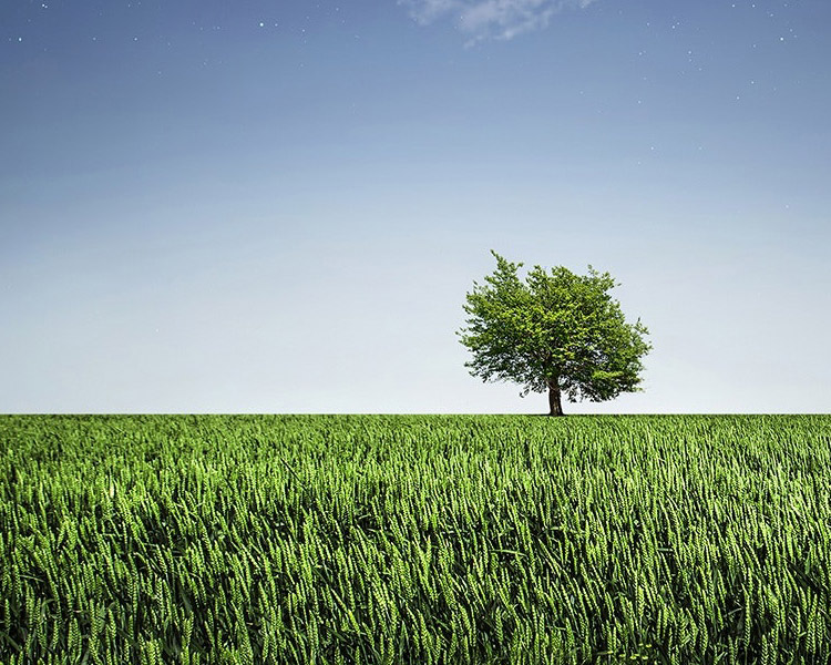 星空xingkong(中国)